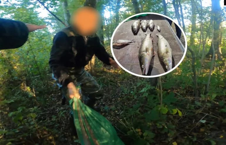 Zdjęcie kłusownika.